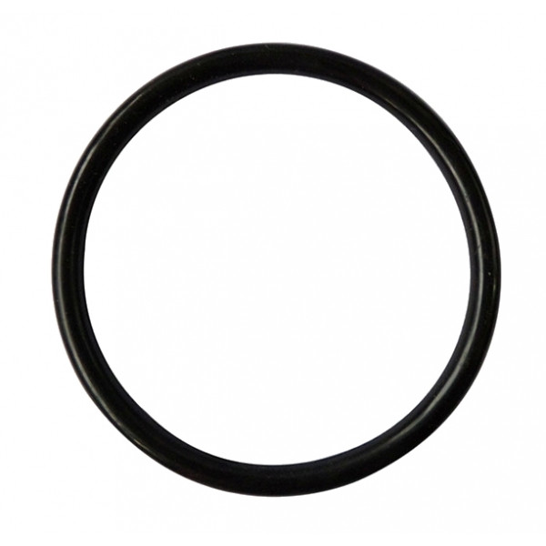 keg Lid Oring Only